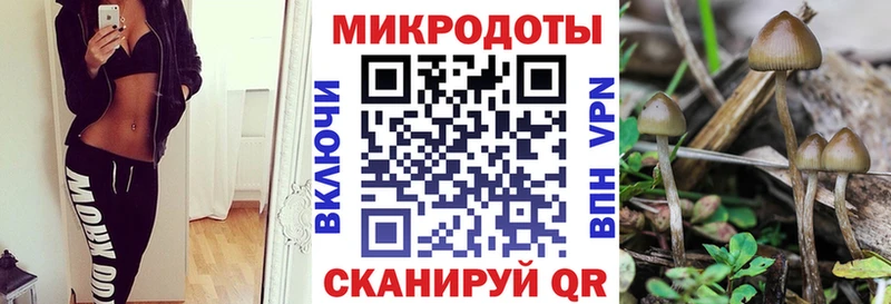 цена   Таштагол  Галлюциногенные грибы прущие грибы 